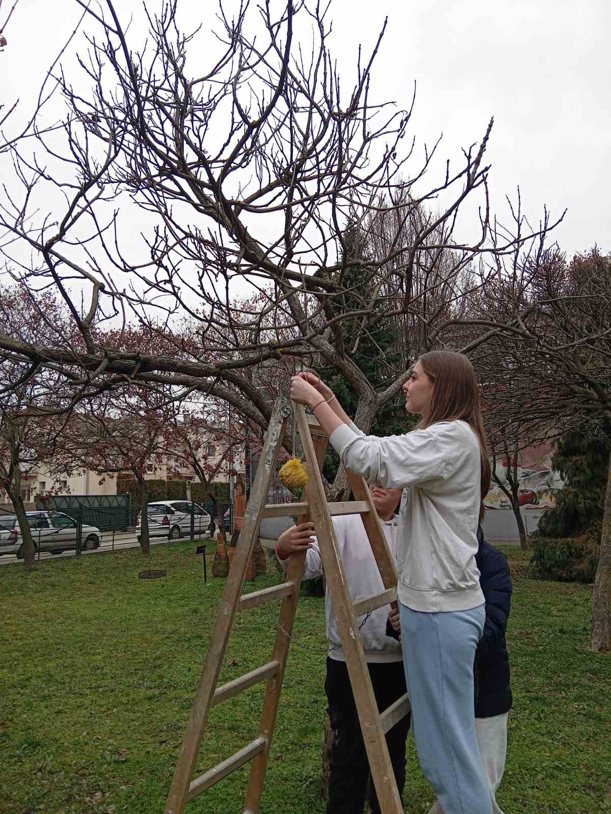 Svetosavska izložba iz ciklusa Naša izvorišta    [×]