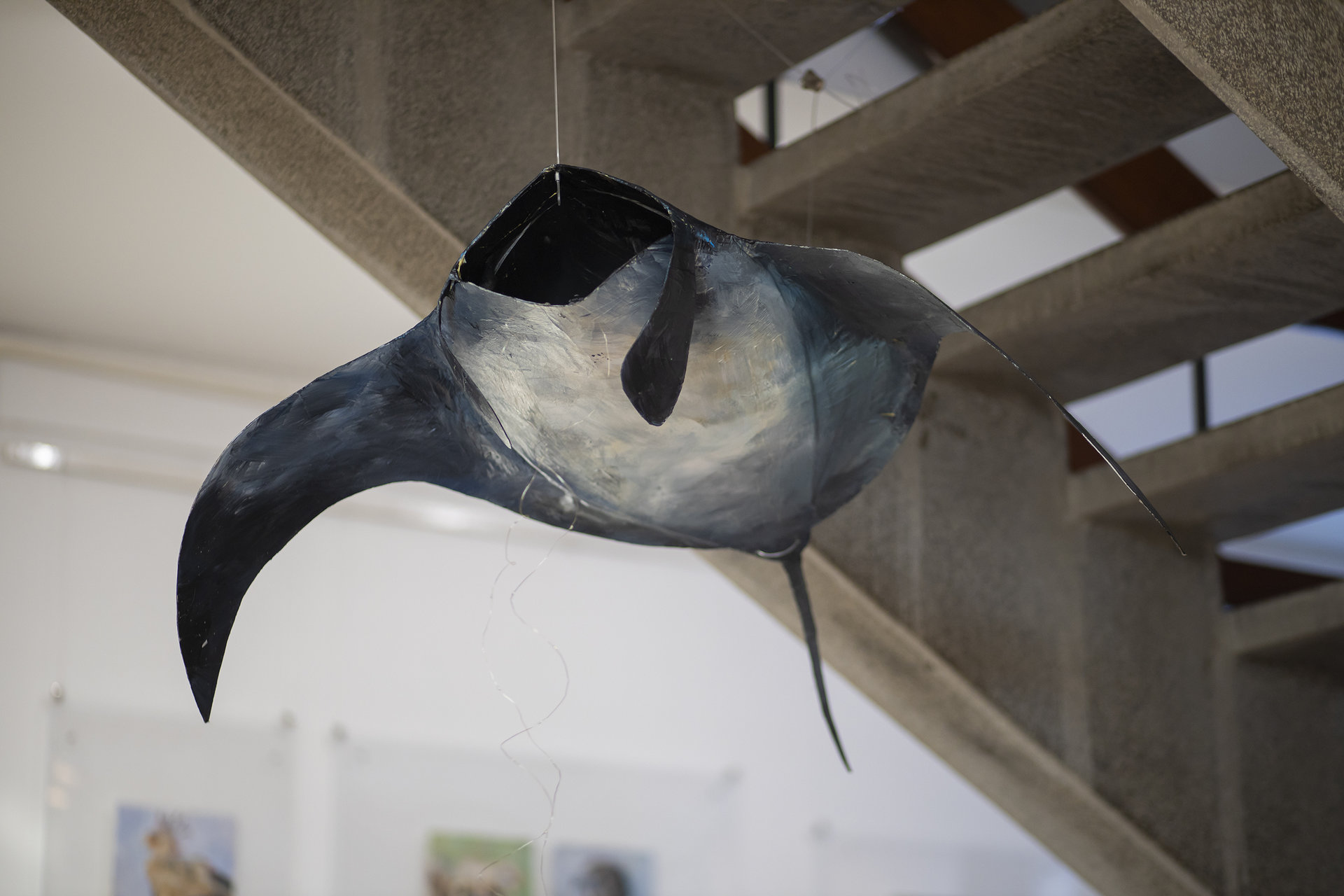 IZLOŽBA KOREN. KRILA - Galerija Škole primenjenih umetnosti &nbsp;&nbsp;[×]