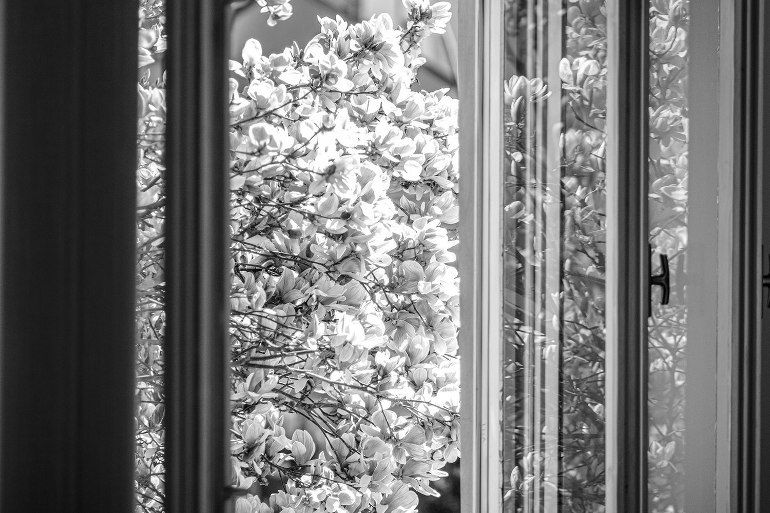 IZLOŽBA SEKCIJE ZA FOTOGRAFIJU I DIGITALNU GRAFIKU, SKC,  BEOGRAD &nbsp;&nbsp;[×]