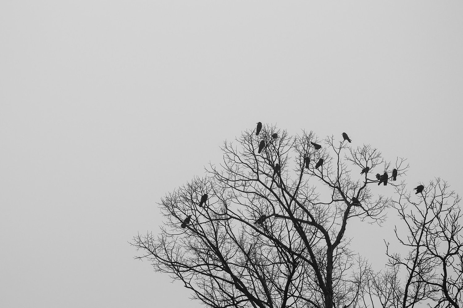 IZLOŽBA SEKCIJE ZA FOTOGRAFIJU I DIGITALNU GRAFIKU, SKC,  BEOGRAD &nbsp;&nbsp;[×]