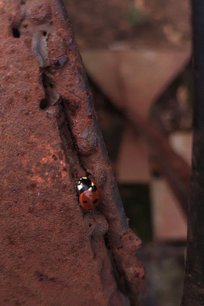 IZLOŽBA SEKCIJE ZA FOTOGRAFIJU I DIGITALNU GRAFIKU, SKC,  BEOGRAD &nbsp;&nbsp;[×]